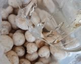 عکس مرحله 2 از دستور شستشوی فوری قارچ 🌸