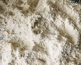 Foto del paso 2 de la receta: Bisquets