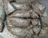 Foto langkah ke 7 dari resep Kembong beteluk.
