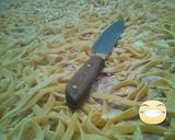 Foto del paso 6 de la receta: Fideos al huevo (De verdad)