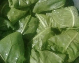 Foto del paso 6 de la receta: Yaprak (niños envueltos con hojas de acelga)