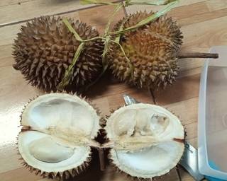 Es Cendol Susu Durian - Step 1