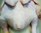 Foto langkah ke 1 dari resep 391. Ayam Bakar Areh (Klaten).