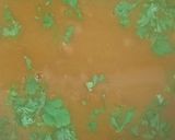 राजमा की सब्जी(rajma ki sabji recepie in hindi) रेसिपी चरण 5 फोटो