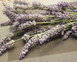 Foto del paso 2 de la receta 🍪Galletas de Lavanda🍪