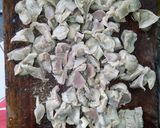 Foto langkah ke 5 dari resep Ampela jagung muda.