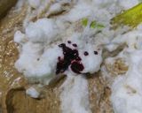 Foto del paso 4 de la receta: Red velvet