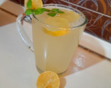 عکس مرحله 1 از دستور لیموناد با ۳قلم مواد🍋🍹