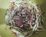 豆芽菜拌炒肉片︳簡單快速便當菜的食譜步驟3照片