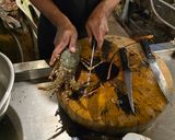 รูปขั้นตอนการทำที่ 1 ของ กุ้งมังกรอบชีส