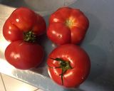 Une image de l'étape 1 de Saucisses de Toulouse grillées aux tomates,romarin et épices.