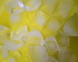 मलाई घेवर (Malai Ghevar recipe in Hindi) रेसिपी चरण 7 फोटो