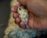A picture of step 4 of Rice Moong balls.