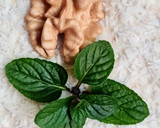 Foto del paso 3 de la receta: Postrecito saludable de coco con hojuelas de quinoa 🥥 🌱 sin azúcares agregados