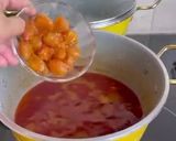 عکس مرحله 3 از دستور خورشت آلو مسما با گوشت