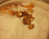 Foto del paso 4 de la receta: Mermelada de Damascos