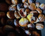 Une image de l'étape 2 de Chataignes cuites sur le feu 🌰.