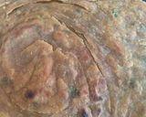 दुधी - पालक लाच्छा पराठा (dudhi palak lacha paratha recipe in marathi) रेसिपी स्टेप 7 फोटो 