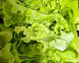 Hình bước làm 1 của món Salad giảm cân healthy dễ ăn dễ làm