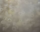 A picture of step 1 of Veg. Macaroni.