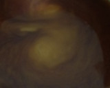 Foto langkah ke 3 dari resep 1102. Lumpia Basah.