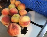 Une image de l'étape 1 de Tarte renversée aux pêches blanches du jardin pâte brisée à la pomme.