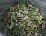 பொன்னாங்கண்ணிக் கீரை குழம்பு ரெசிபி ஸ்டேப் 1 புகைப்படம்