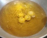 A picture of step 4 of Cheese Angoori Kofta Curry.