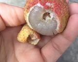 Hình bước làm 2 của món Vải lai Thanh Hà