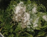 A picture of step 1 of Coriander Chutney.