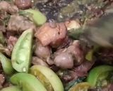 Foto langkah ke 3 dari resep Ati Ampela Cabe Ijo.