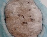 Foto langkah ke 16 dari resep Orange Peel Double Chocolate Sourdough Bread.