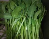 Foto langkah ke 1 dari resep Genjer Tumis Tauco.