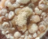รูปขั้นตอนการทำที่ 5 ของ Mangosteen vinegar