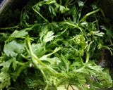 A picture of step 3 of Coriander Pesto Sauce.