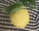 Une image de l'étape 4 de 🍋🥒Citronnade 🇩🇿Algérienne #ramadan🍶.