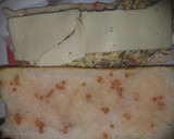 Foto del paso 4 de la receta: Bocata última hora