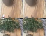 Une image de l'étape 9 de 🥕🌶️Berkoukes 🪹oranais au 🍖osbane🍂.