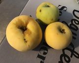 Une image de l'étape 3 de Salade de fruits du jardin au melon et raisins.