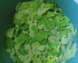 Foto langkah ke 1 dari resep Sayur bening.