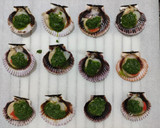 Foto del paso 3 de la receta: Vieiras con vinagreta al horno