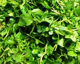 Hình bước làm 1 của món Salad Xoong Trộn Với Tôm