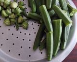મસાલા ભરેલા ભીંડા રેસીપી સ્ટેપ1ફોટો