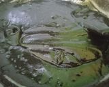 Foto langkah ke 3 dari resep Jenang Hitam Tabur Wijen.