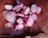 Foto langkah ke 3 dari resep Tumis Kates/ Pepaya Muda.