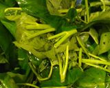 Foto langkah ke 1 dari resep Tumis Kangkung Baso.