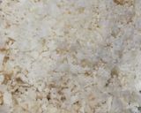 गोभी के पराठे (Gobhi ke parathe recipe in hindi) रेसिपी चरण 1 फोटो