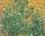 A picture of step 4 of DAAL PANCHMEL OR TARKA TAAL (TEMPTING BEAT)👩‍🍳🥘😋💝🌹🌼🦋🐚💖🦚🥀😍🦜⚘🌸🦚🌺🥰🌻🐌🌹🌼💐👌👍.