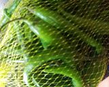 A picture of step 1 of Green Chilli paste.