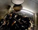 Foto del paso 2 de la receta Mejillones de Lorbé al vapor